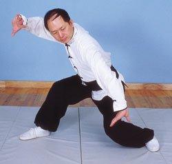 Silk Kung Fu Jacket